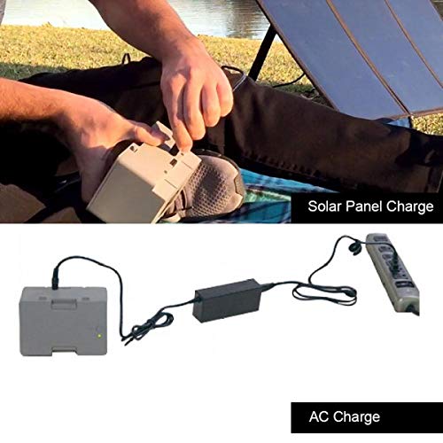 LionCooler 12.6V 3A Battery Charger, AC/DC Power Adapter - FEZS