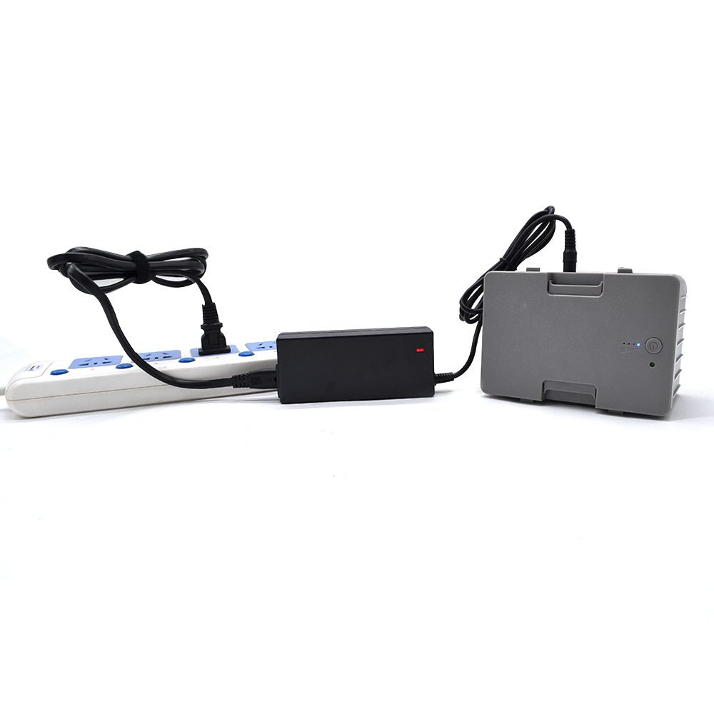 LionCooler 12.6V 3A Battery Charger, AC/DC Power Adapter - FEZS